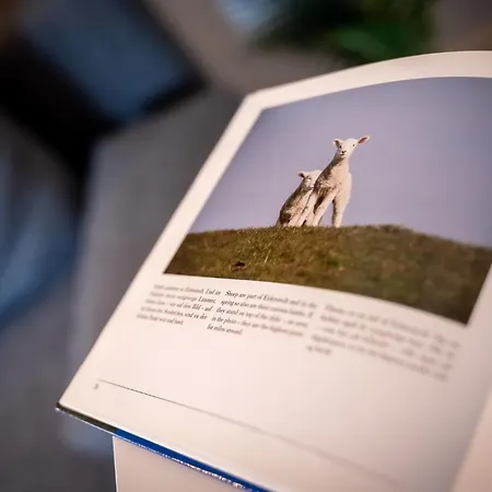 Appartement Nordsee Spo ⇒ Perfekter Rueckzugsort An Der Nordsee *